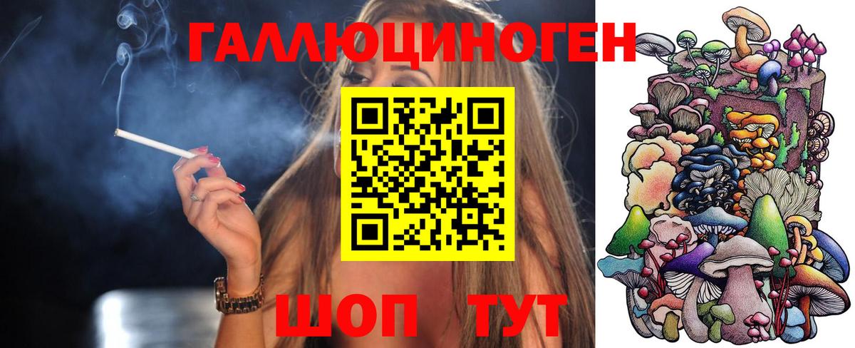 Галлюциногенные грибы Psilocybe Лангепас